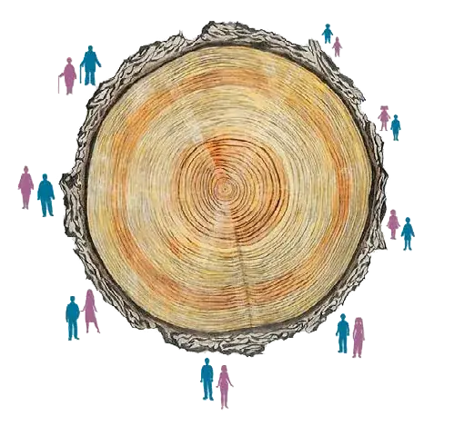A community circle, generations of residents arranged around the rings of a Tree of Life